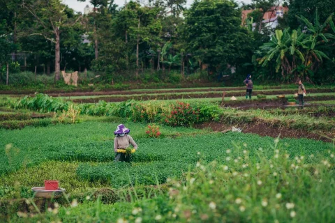 fisa postului agricultor