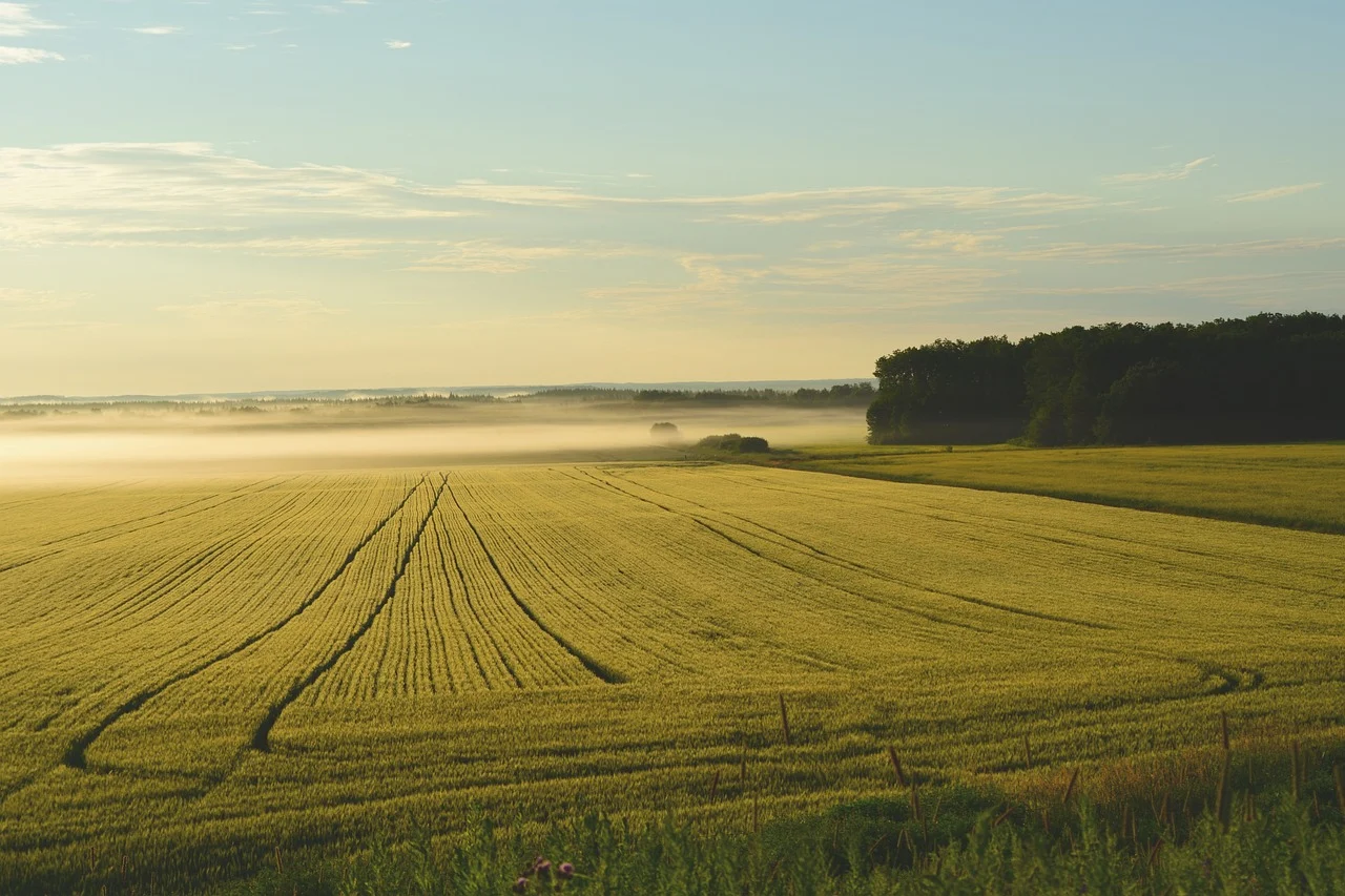 fisa postului mecanic agricol