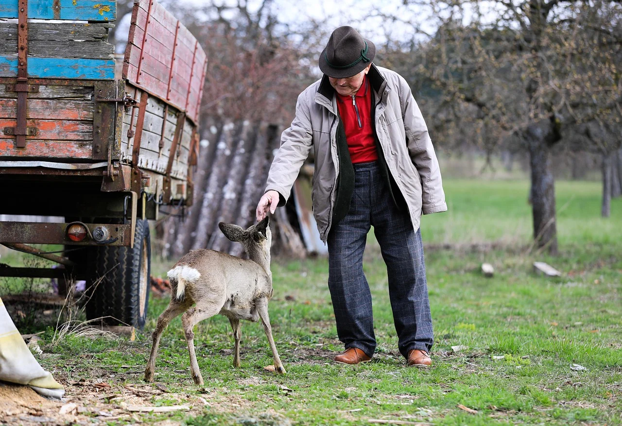 anii lucrati in strainatate se pun la pensie in romania