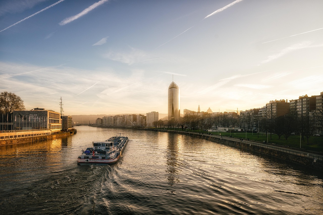 ce inseamna referinte in cv